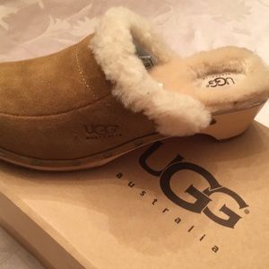 Ugg clogs